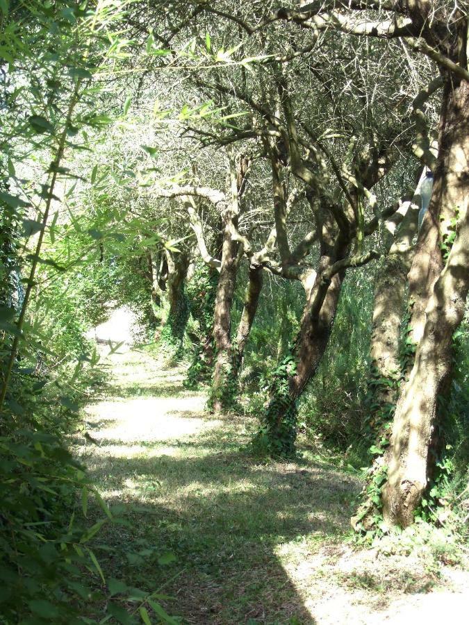 Agriturismo La Casa Della Lavanda - Il Casale Monte San Vito Ngoại thất bức ảnh